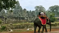 Turis sedang mendapat dari guide saat menunggang gajah di Cambodia. (foto:  Bill Bachmann)