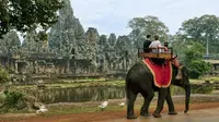  Situs Wisata Dunia Ini Setop Menjual Tiket Wisata Hewan Liar