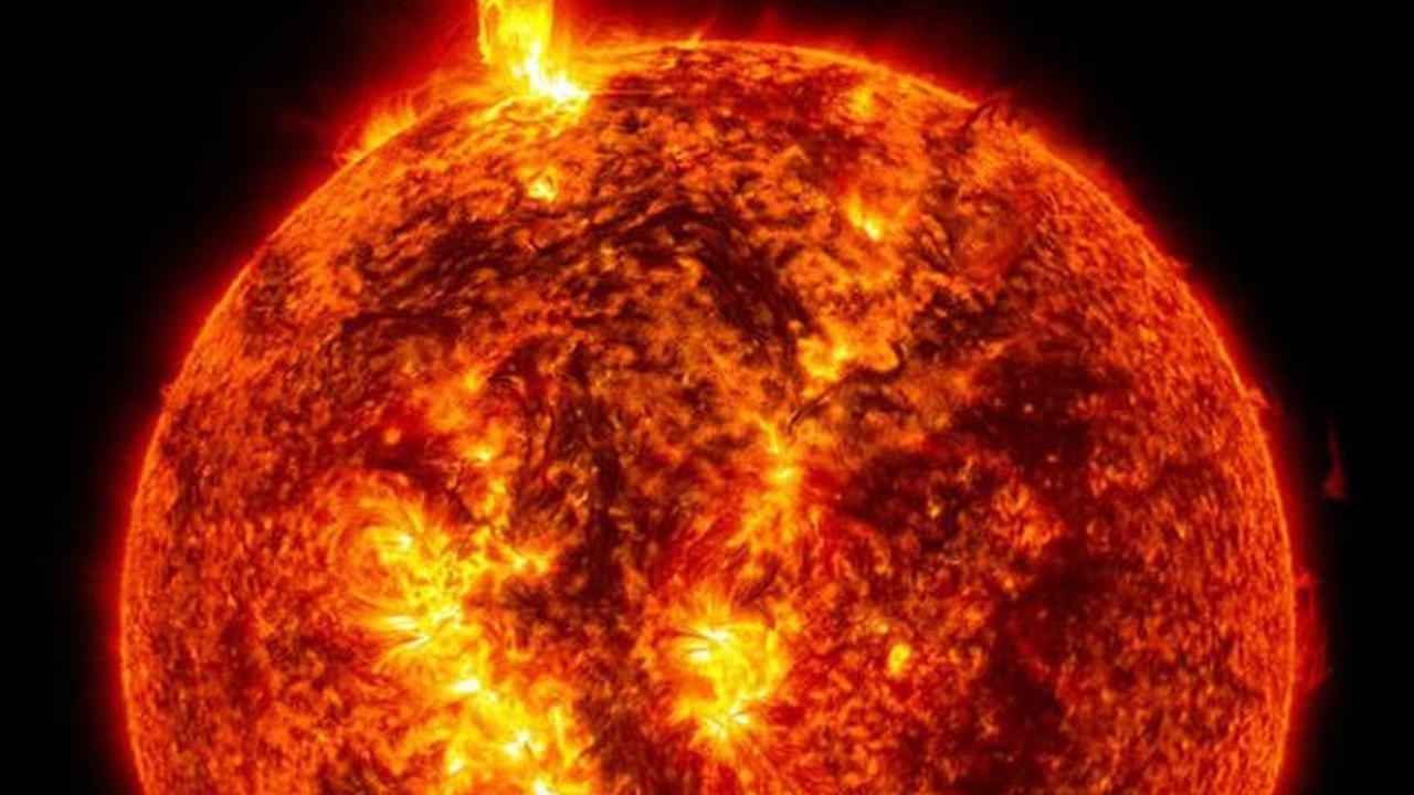 Pohon Kuno di Perancis Ungkap Peristiwa Badai Matahari 14.300 Tahun Lalu, Begini Kisahnya