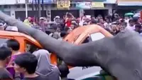 VIDEO: Hujan Deras, Pohon Tumbang Timpa Angkot Lukai 7 Penumpang