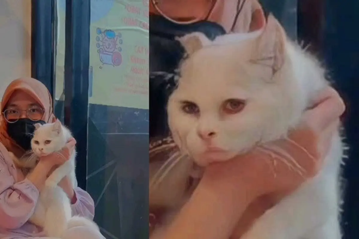 Bukannya HD, 6 Hasil Foto Diedit Pakai Aplikasi Remini Ini Malah Bikin Ngakak