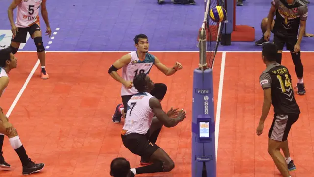 BNI 46 - Proliga 2019