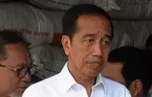 Pabrik Katalis Buatan Anak Bangsa Senilai Rp286 Miliar Diresmikan Jokowi, Ini Fungsinya