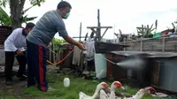 Sejumlah kader vaksinator melakukan penyemprotan uap disinfektan terhadap kandang unggas milik warga di kawasan Simokerto, Surabaya. (Antara)