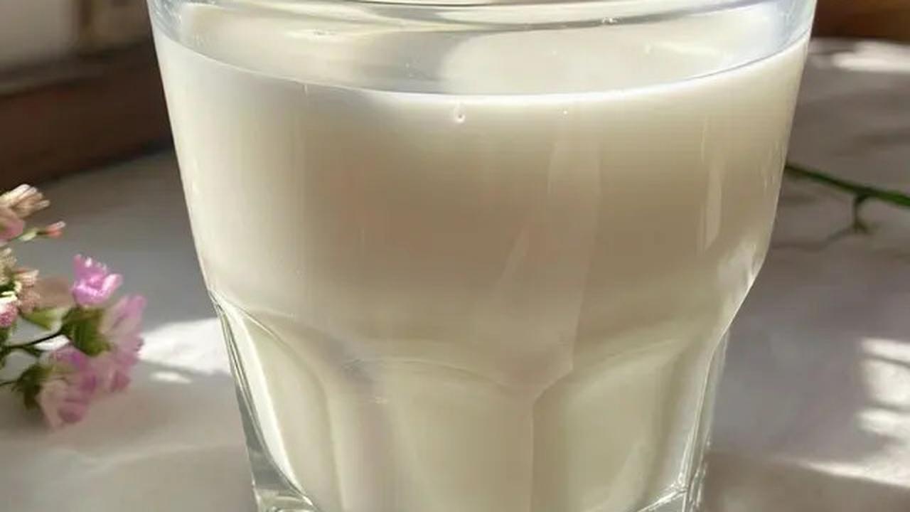 5 Jenis Susu yang Mampu Turunkan Kadar Kolesterol