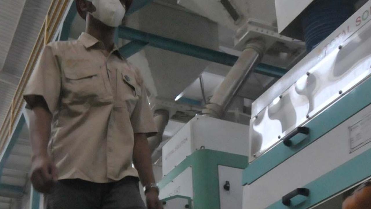 Bahkan untuk gabah yang berkualitas tinggi bisa mencapai Rp7.000 per kg. Foto: merdeka.com / Imam Buhori