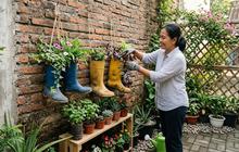 12 Cara Membuat Taman Kecil di Sudut Rumah Tanpa Biaya Mahal, Bisa Pakai Barang Bekas
