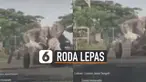 Uniknya, ban yang menggelinding ke arah kanan itu akhirnya berhenti di bengkel tambal ban.