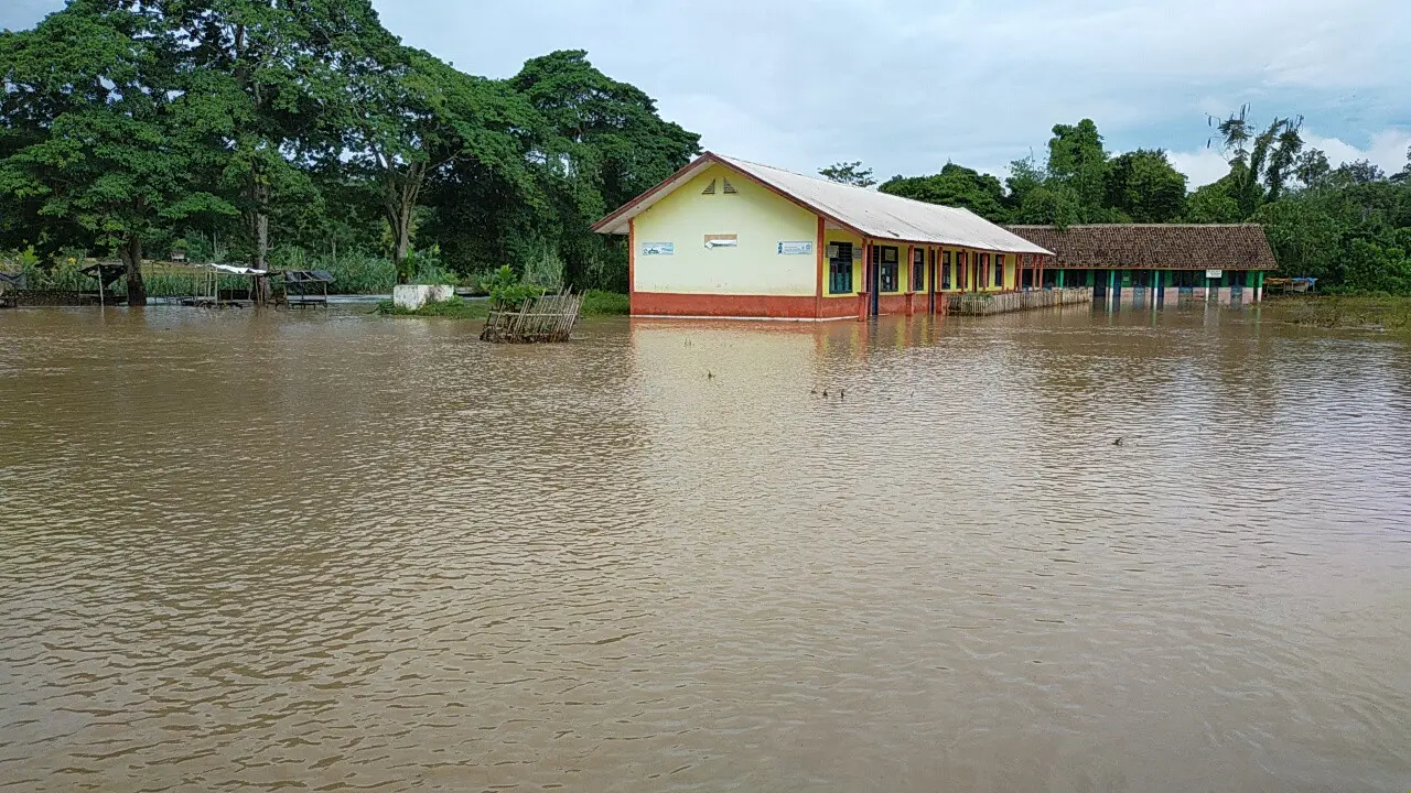 Banjir di Desa Mahanggin, Kecamatan Muaradua, Kabupaten Oku Selatan, Sumsel (Foto: Dok BNPB)