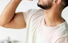 Mengenal Apa Itu Bulking beserta Manfaat dan Cara Melakukannya
