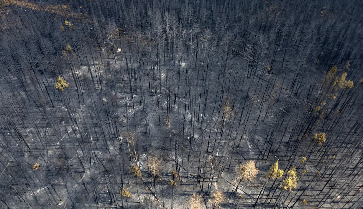 Lanskap yang terbakar akibat kebakaran hutan terlihat di dekat Entrance, area Wild Hay, Alberta, Kanada pada tanggal 10 Mei 2023. (Photo by Megan ALBU / AFP)