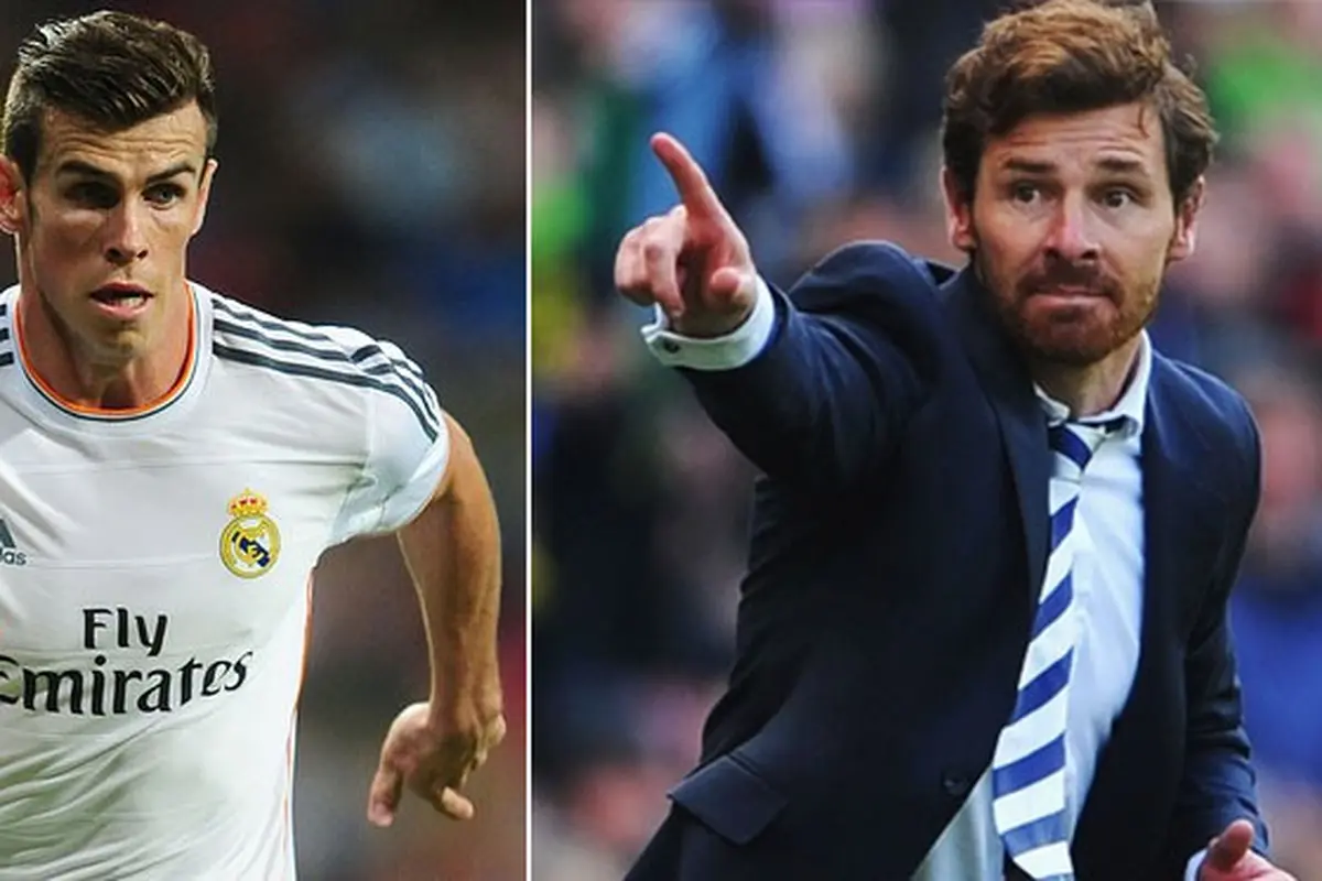 bale-boas-131202a.jpg
