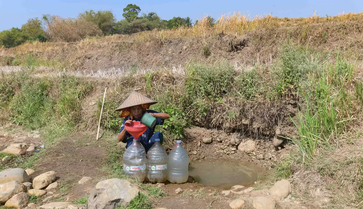 Warga mengambil air untuk kebutuhan sehari-hari pada kubangan bekas sawah di  kawasan Weninggalih, Jonggol, Jawa Barat, Selasa, 25 Agustus 2026. (KLY/ Arie Basuki)