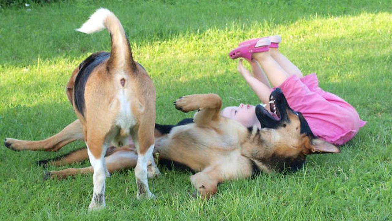 Tingkah Lucu Bayi Besar dengan Hewan Peliharaanya