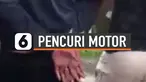 thumbnail pencuri motor