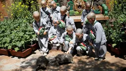 Para biksu cilik bermain dengan kura-kura saat mengunjungi taman hiburan Everland di Yongin, Korea Selatan, Kamis (2/5). Para biksu cilik ini menjalani pendidikan dengan rambut gundul dan jubah biarawan. (REUTERS/Kim Hong-Ji)