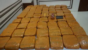 62,5 Kg Ganja Disita di Petamburan, Dua Pria Ditangkap