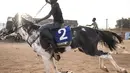 Seorang joki muda berlomba dalam acara pacuan kuda di Ouagadougou (30/1/2022). Koboi terkenal memenangkan jutaan Franc Afrika Barat dari balapan dan diam-diam melatih kuda di malam hari untuk melakukan dressage, beberapa bahkan menyebut diri mereka koboi dan berpakaian sesuai. (AFP/John Wessels)