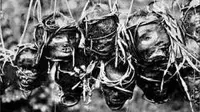 Studi: Kanibalisme Manusia Purba untuk Keperluan Ritual