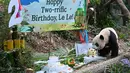 Anak panda raksasa pertama yang lahir di Singapura itu lahir pada pagi hari 14 Agustus 2021 lalu. (Photo by Roslan RAHMAN / AFP)