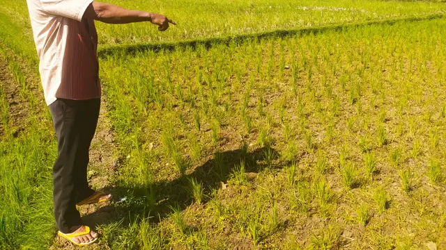 Ketua Kelompk Tani 'Warga Tani' Dana Supriadi, tengah menunjukan area pesawahan di blok kampung Bangkonol, Sukawening, Garut, Jawa Barat, yang mulai mengering akibat ketiadaan sumber air seiring masuknya musim kemarau tahun ini.