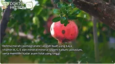 Dokter Herbal Ungkap Cara Manfaatkan Delima Merah untuk Kecantikan