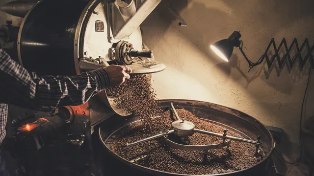 Biji Kopi
