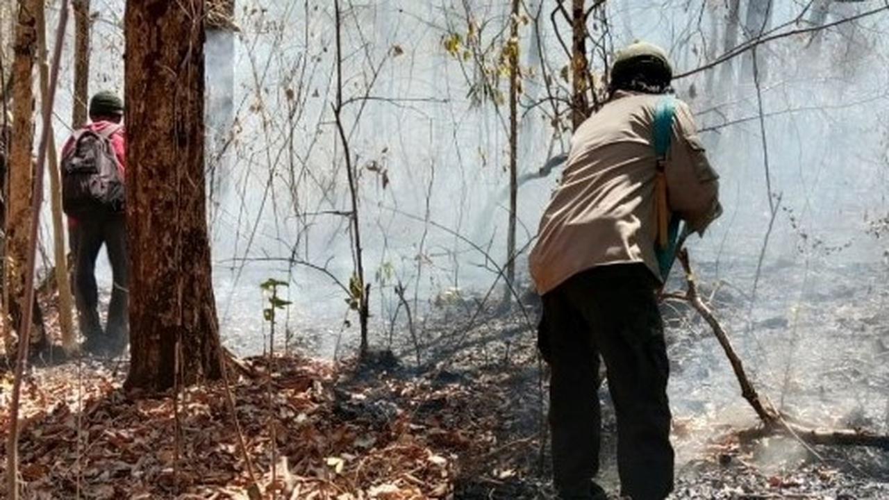 Petugas gabungan berusaha memadamkan api di Taman Nasional Baluran (Foto: Instagran btn_baluran)