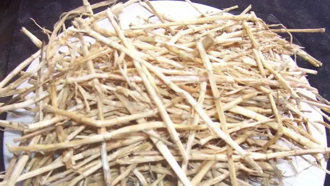 [Bintang] 8 Akar Tanaman yang Bisa Diracik Sebagai Ramuan Obat