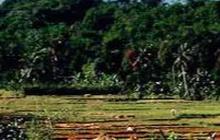 Usai Gempa, Jalur Pendakian Gunung Salak dan Kawah Ratu Ditutup