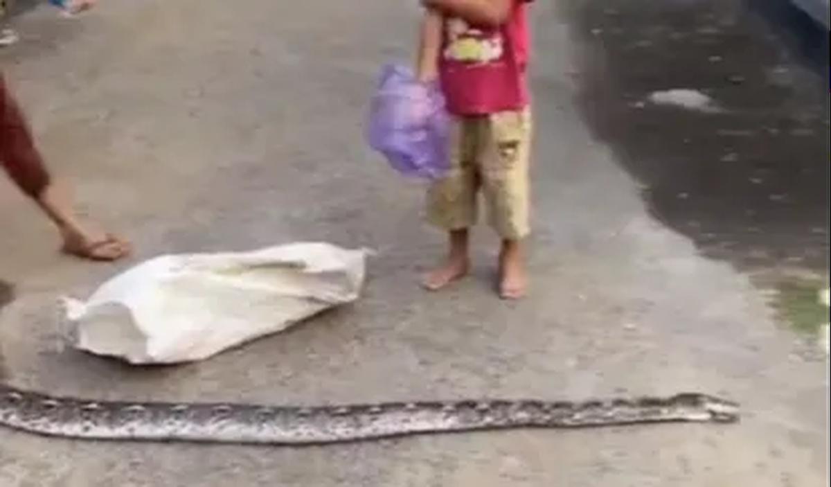Ditangkap dengan Cara Kurang Pantas