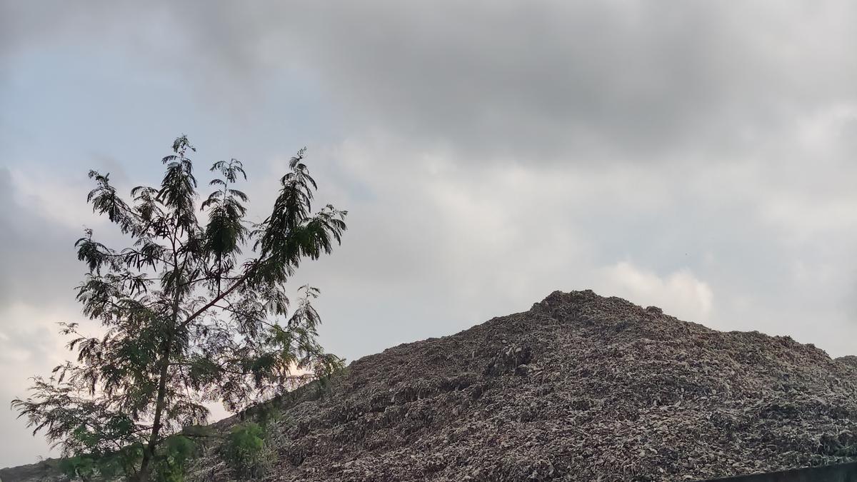 TPST Bantargebang Longsor, Pemprov DKI Targetkan Normalisasi dalam Satu Pekan