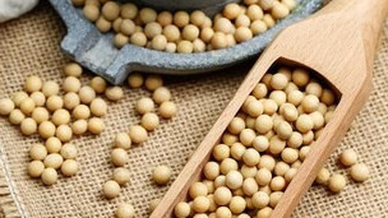 8.&nbsp;Kacang Kedelai: Sumber Protein Tinggi untuk Vegan