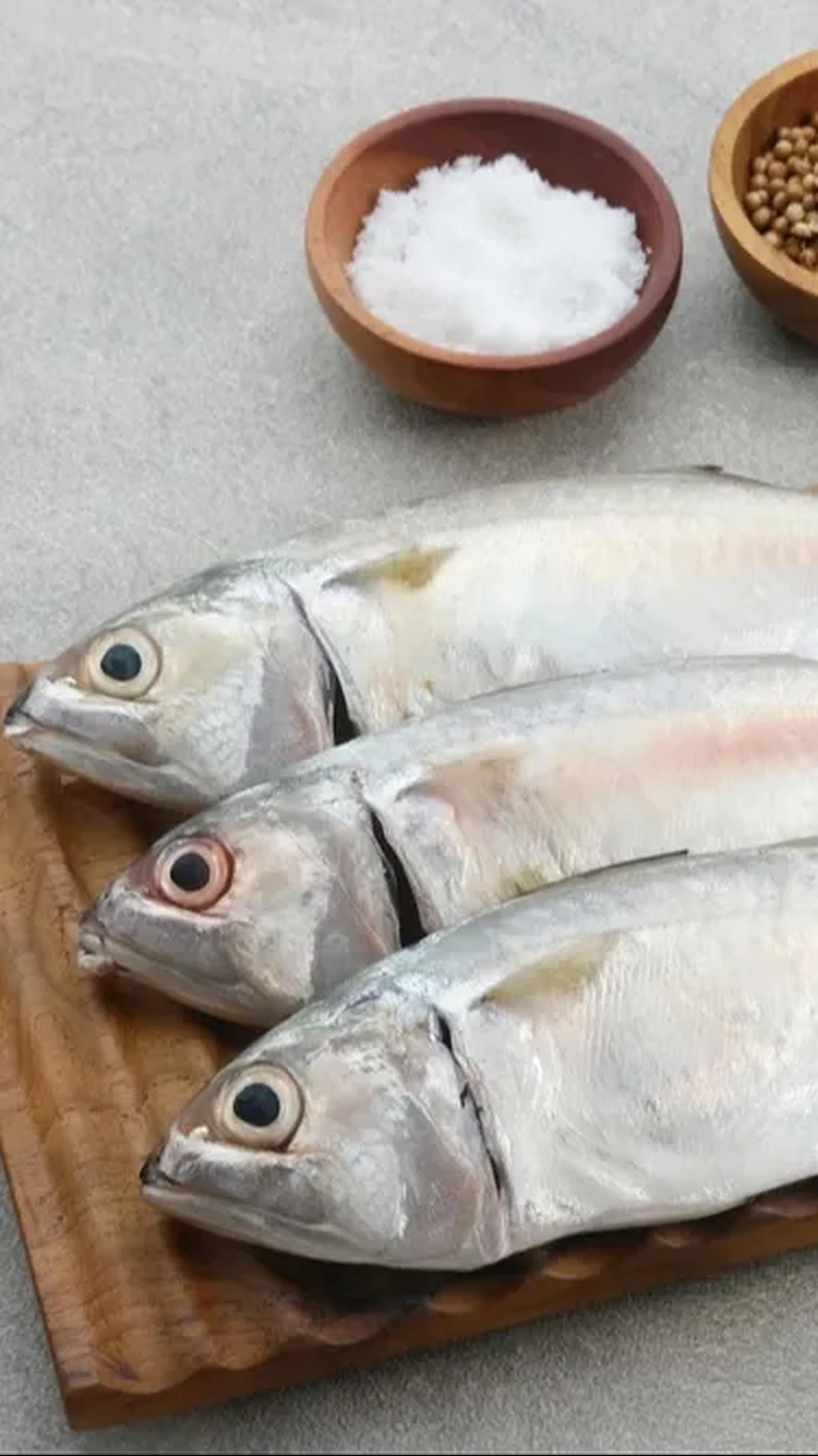 2. Ikan Kembung