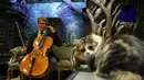 Komposer AS dan pemain cello, David Teie, memainkan salah satu lagu saat mempromosikan album Music For Cats di London, 18 Oktober 2016. Seperti diketahui, Teie memang tertarik pada penciptaan musik untuk spesies tertentu sejak 2009. (ADRIAN DENNIS/AFP)