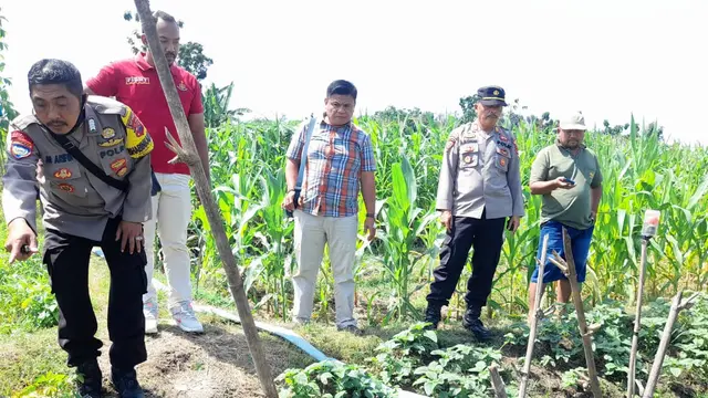 jebakan tikus listrik