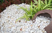 Inspirasi Taman Batu Koral Minimalis untuk Hunian Modern