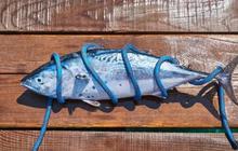 Hati-hati! Ini 5 Ikan yang Tidak Disarankan untuk Penderita Hipertensi