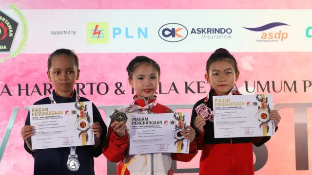 Wushu Festival