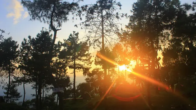 Papandayan Camping Ground