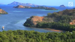 Kapal wisatawan mengarungi sebuah teluk di Pulau Rinca, Taman Nasional Komodo, NTT, Minggu (14/10). Pulau Rinca beserta Pulau Komodo dan Pulau Padar merupakan kawasan Taman Nasional Komodo yang dikelola oleh Pemerintah Pusat. (Merdeka.com/Arie basuki)