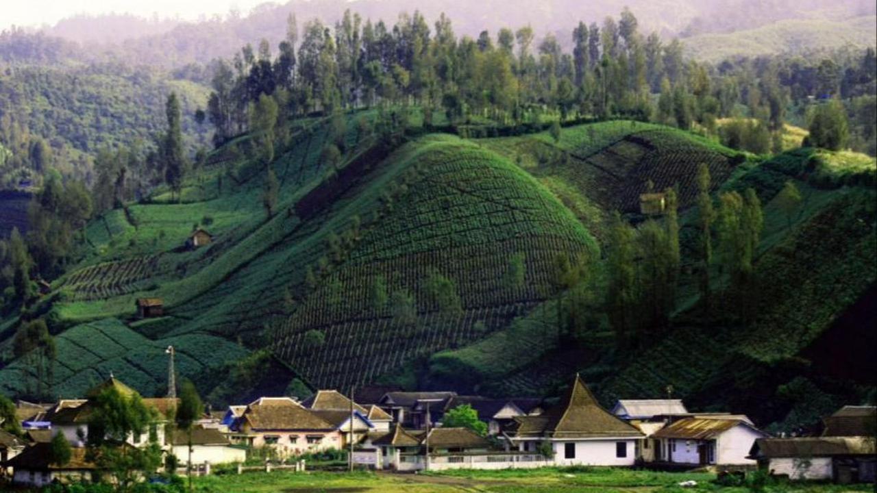 Ranupani