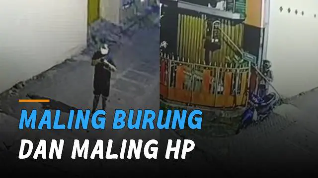 Video CCTV memperlihatkan dua pria yang mencuri burung dan handphone milik warga. Kejadian itu terjadi di Jalan Amarta, Pringgolayan, Condong Catur, Sleman Yogyakarta.