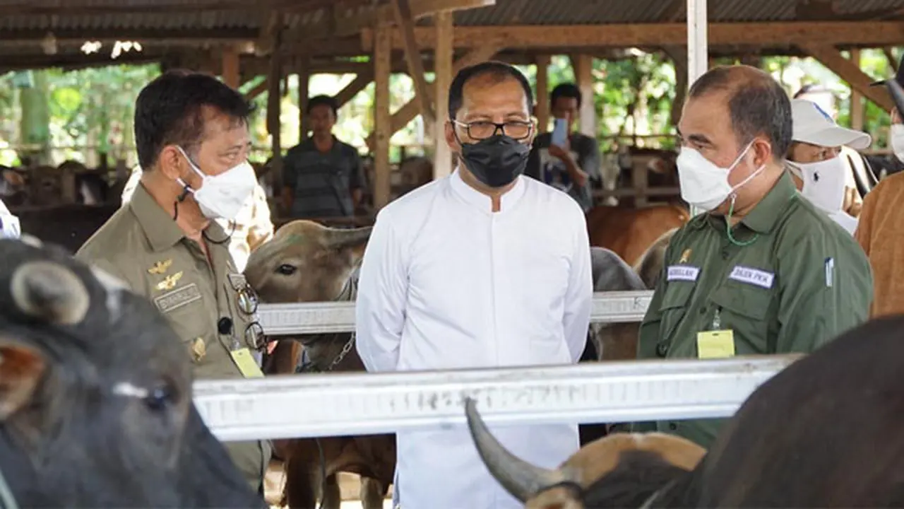 Pastikan Penyelenggaraan Kurban Aman Terkendali, Mentan Syahrul Tinjau Kesiapan Kurban di Kota Makassar
