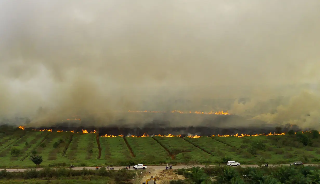 Foto udara yang diambil pada tanggal 2 Oktober 2023 ini menunjukkan kebakaran lahan gambut yang menjalar ke sebuah perkebunan di Ogan Ilir, Sumatera Selatan. (Al ZULKIFLI / AFP)