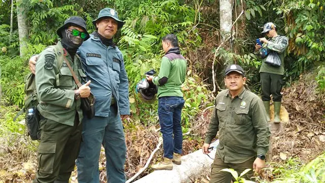 Kementerian Kehutanan Perkuat Pengamanan Tesso Nilo dari Kebun Ilegal.
