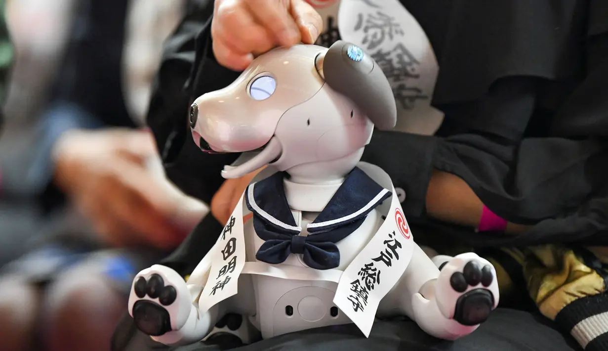 Seorang pemilik robot peliharaan Sony Aibo mengambil bagian dalam upacara doa untuk merayakan ulang tahun ketiga Aibo dan berharap kesehatan yang baik pada masa depan di Kuil Kanda, Tokyo, Jepang, Jumat (12/11/2021). (Kazuhiro NOGI/AFP)