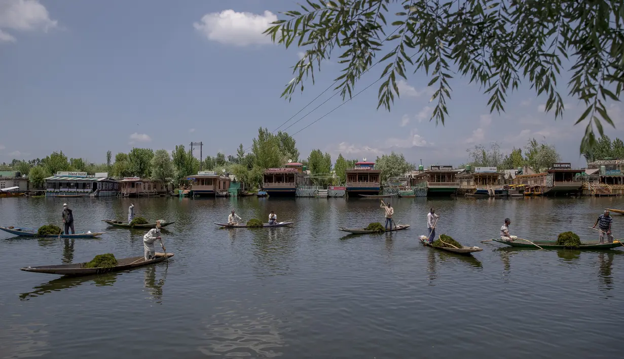 Para tukang perahu yang dipekerjakan oleh Pemerintah Jammu dan Kashmir menyingkirkan gulma dari Danau Dal di Srinagar, Kashmir, India, Rabu (22/7/2020). Danau Dal terkenal dengan airnya yang jernih dan tenang. (AP Photo/Dar Yasin)