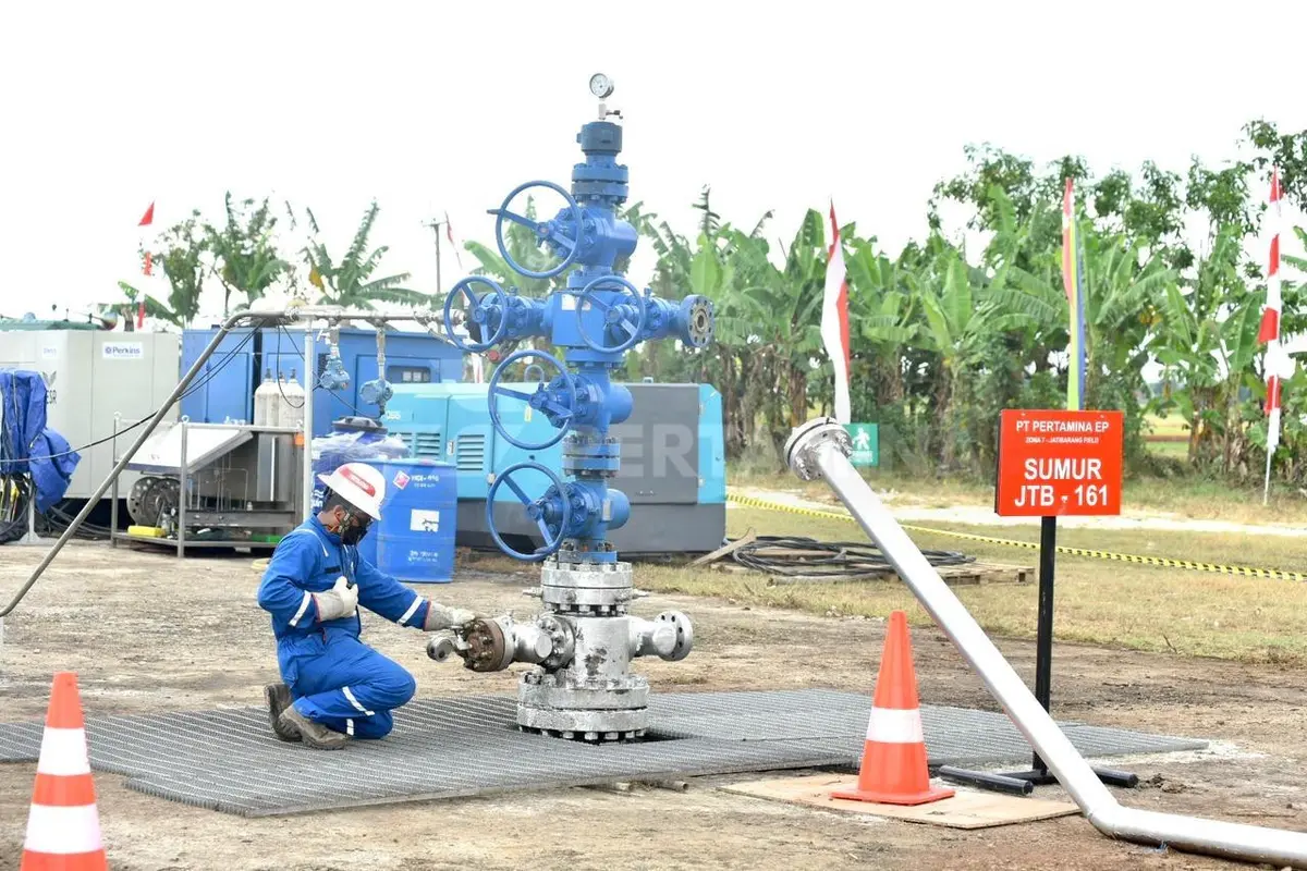 Carbon Capture and Storage Jadi Terobosan Bagi Perekonomian Indonesia