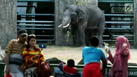 Pengunjung berswafoto dengan latar belakang gajah saat mengisi libur Lebaran di Kebun Binatang Ragunan, Jakarta, Sabtu (16/6). Kebun Binatang Ragunan masih menjadi tempat favorit warga Jakarta untuk menghabiskan libur Lebaran. (Liputan6.com/JohanTallo)